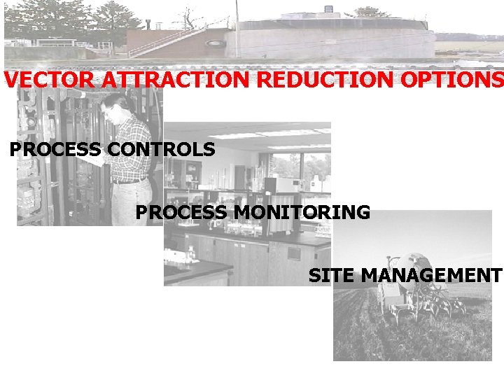 VECTOR ATTRACTION REDUCTION OPTIONS PROCESS CONTROLS PROCESS MONITORING SITE MANAGEMENT 