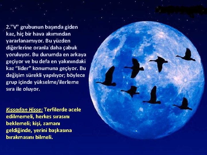 2. "V" grubunun başında giden kaz, hiç bir hava akımından yararlanamıyor. Bu yüzden diğerlerine