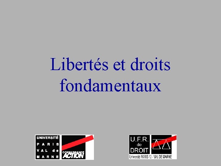 Libertés et droits fondamentaux 