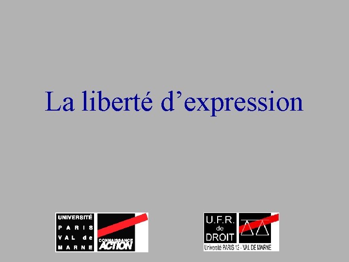 La liberté d’expression 