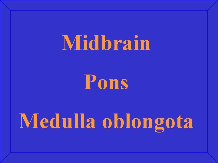 Midbrain Pons Medulla oblongota 