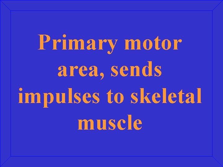 Primary motor area, sends impulses to skeletal muscle 