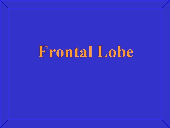 Frontal Lobe 