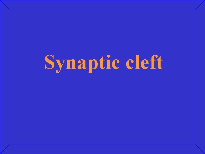 Synaptic cleft 