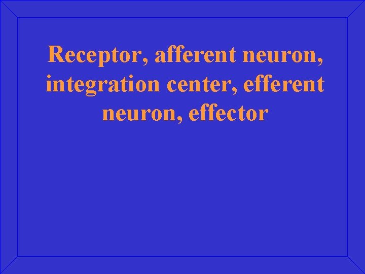 Receptor, afferent neuron, integration center, efferent neuron, effector 