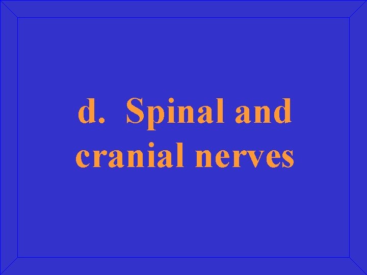 d. Spinal and cranial nerves 