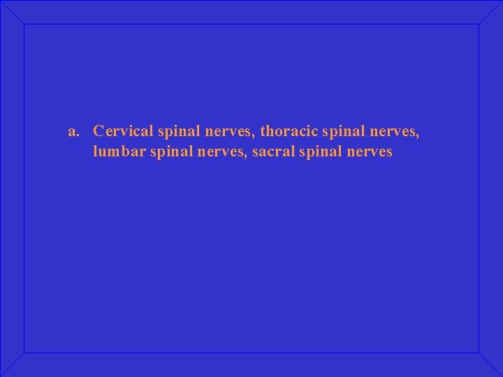 a. Cervical spinal nerves, thoracic spinal nerves, lumbar spinal nerves, sacral spinal nerves 