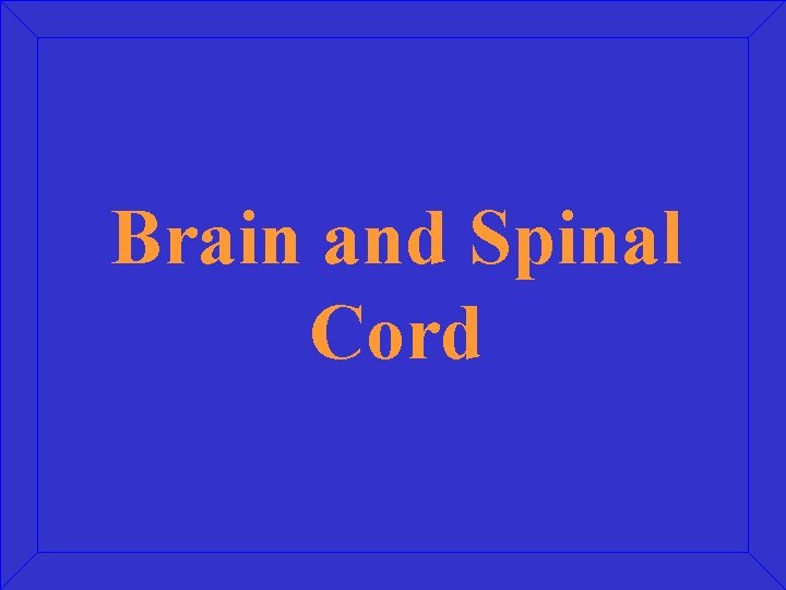 Brain and Spinal Cord 