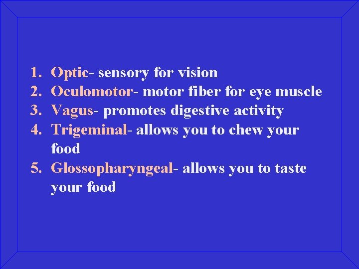 1. 2. 3. 4. Optic- sensory for vision Oculomotor- motor fiber for eye muscle