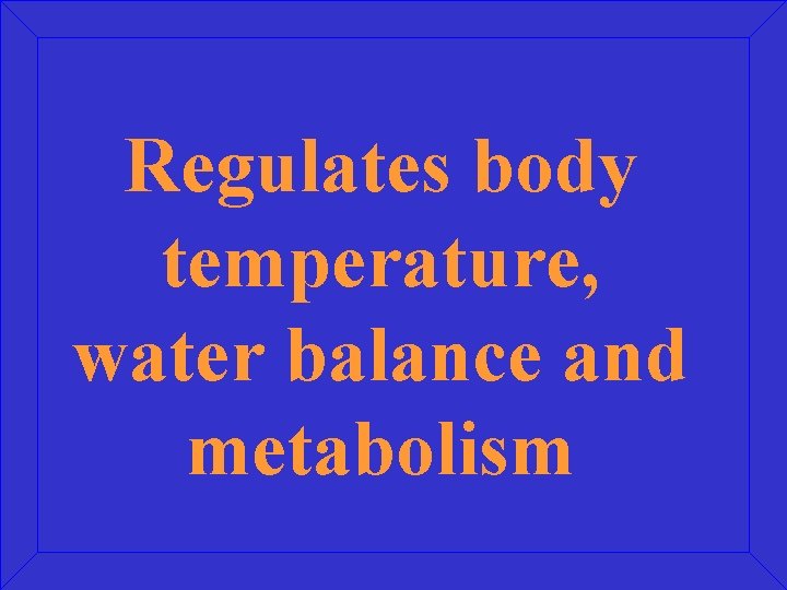 Regulates body temperature, water balance and metabolism 