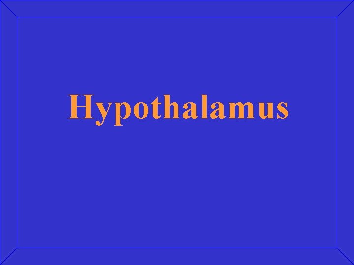 Hypothalamus 