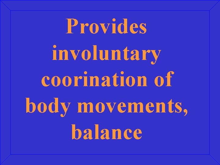 Provides involuntary coorination of body movements, balance 