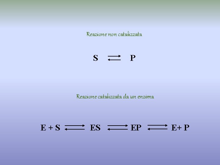 Reazione non catalizzata S P Reazione catalizzata da un enzima E+S ES EP E+