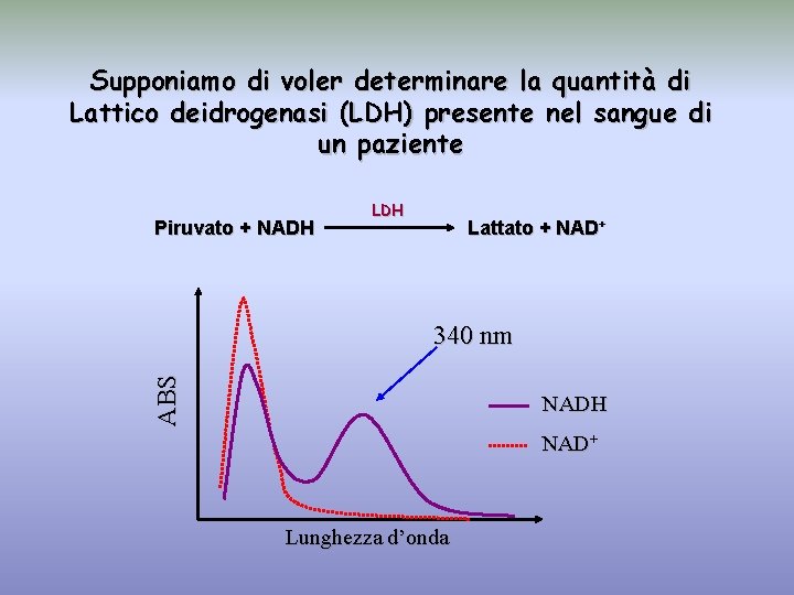 Supponiamo di voler determinare la quantità di Lattico deidrogenasi (LDH) presente nel sangue di