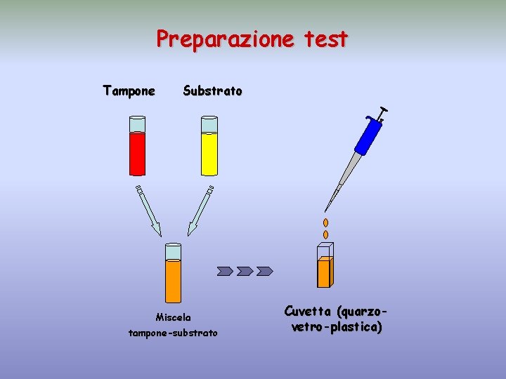 Preparazione test Tampone Substrato Miscela tampone-substrato Cuvetta (quarzovetro-plastica) 
