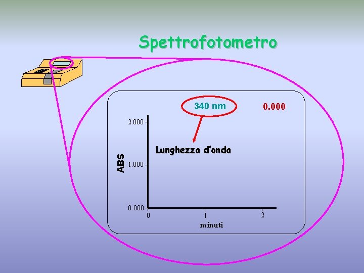 Spettrofotometro 340 nm 0. 000 ABS 2. 000 Lunghezza d’onda 1. 000 0 1