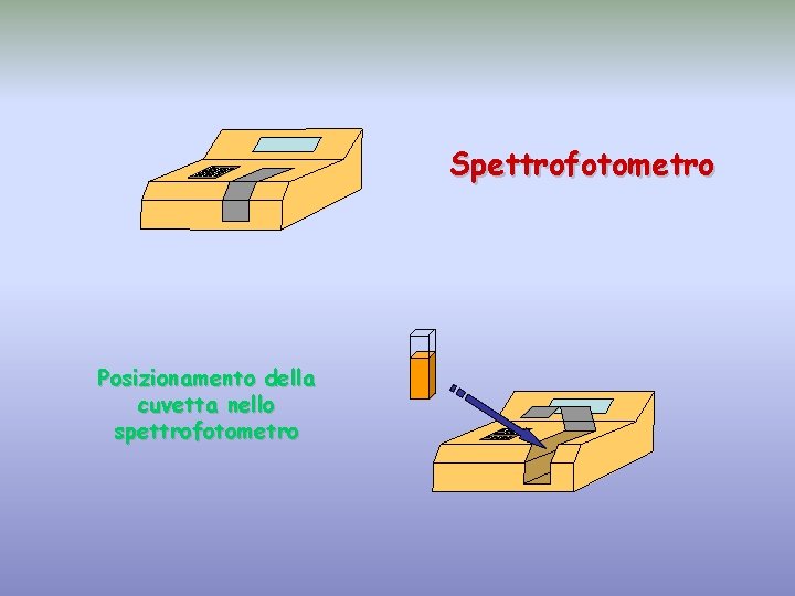 Spettrofotometro Posizionamento della cuvetta nello spettrofotometro 