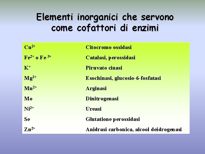 Elementi inorganici che servono come cofattori di enzimi Cu 2+ Citocromo ossidasi Fe 2+