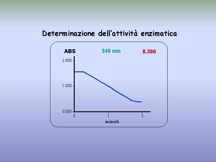 Determinazione dell’attività enzimatica ABS 340 nm 0. 380 2. 000 1. 000 0. 000