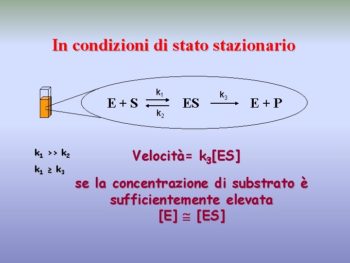 In condizioni di stato stazionario E+S k 1 >> k 2 k 1 ≥