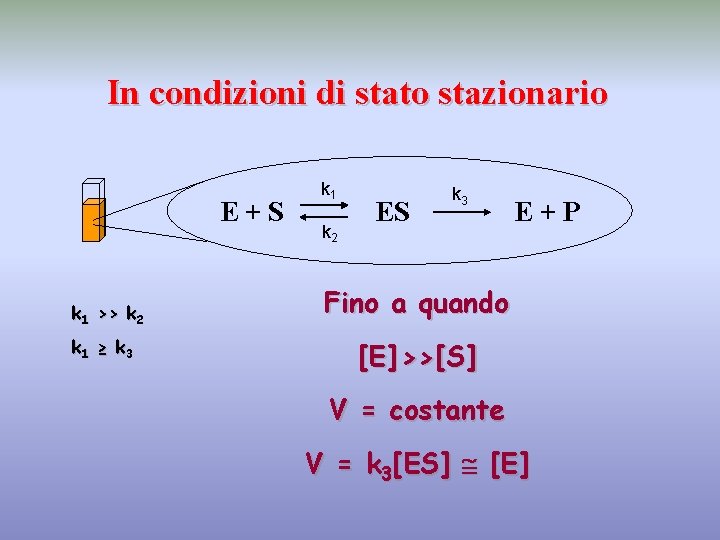 In condizioni di stato stazionario E+S k 1 >> k 2 k 1 ≥