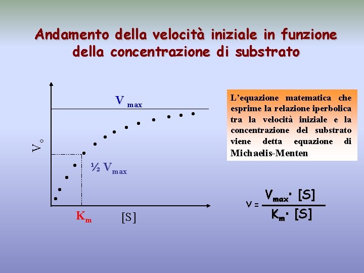 Andamento della velocità iniziale in funzione della concentrazione di substrato Vo V max •