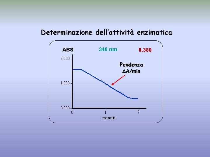 Determinazione dell’attività enzimatica ABS 340 nm 2. 000 1. 000 0. 380 Pendenza A/min