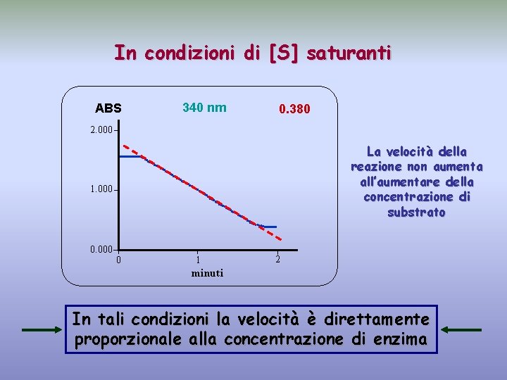 In condizioni di [S] saturanti ABS 340 nm 0. 380 2. 000 1. 000