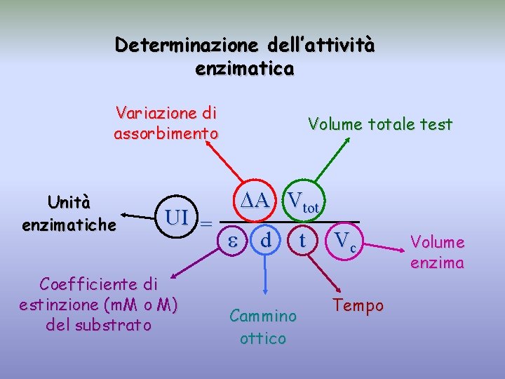 Determinazione dell’attività enzimatica Variazione di assorbimento Unità enzimatiche UI = Coefficiente di estinzione (m.