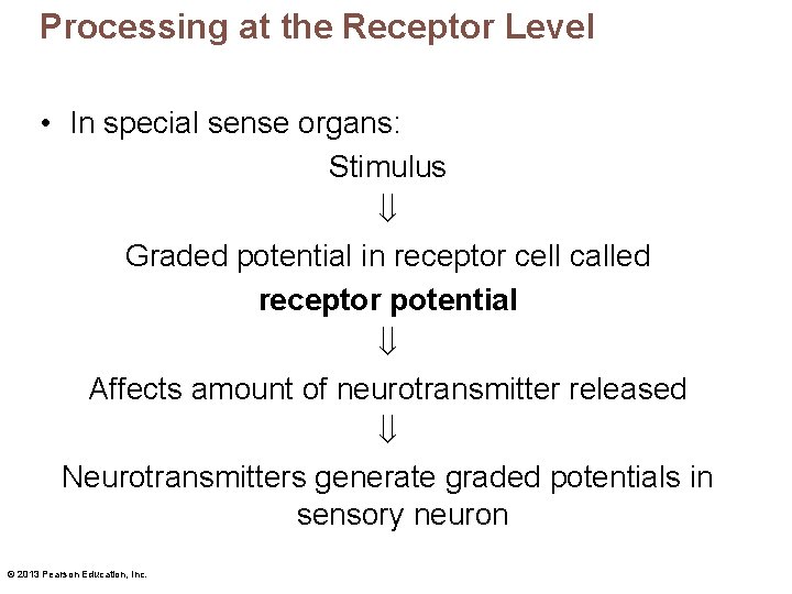 Processing at the Receptor Level • In special sense organs: Stimulus Graded potential in