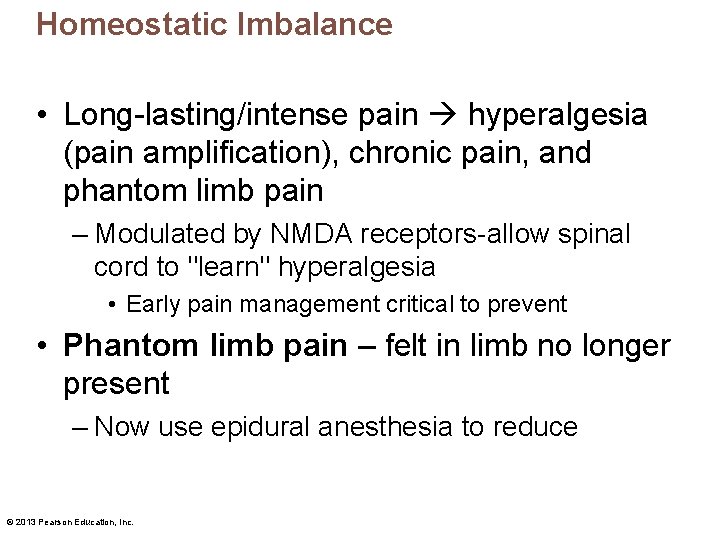 Homeostatic Imbalance • Long-lasting/intense pain hyperalgesia (pain amplification), chronic pain, and phantom limb pain