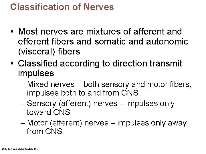 Classification of Nerves • Most nerves are mixtures of afferent and efferent fibers and