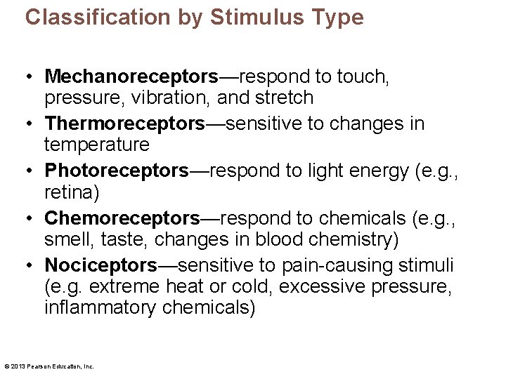 Classification by Stimulus Type • Mechanoreceptors—respond to touch, pressure, vibration, and stretch • Thermoreceptors—sensitive