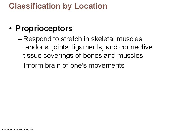 Classification by Location • Proprioceptors – Respond to stretch in skeletal muscles, tendons, joints,