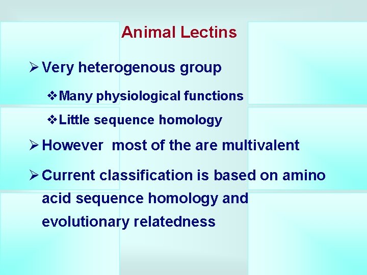 Animal Lectins Ø Very heterogenous group v. Many physiological functions v. Little sequence homology