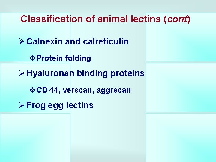 Classification of animal lectins (cont) Ø Calnexin and calreticulin v. Protein folding Ø Hyaluronan