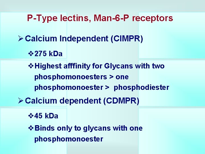 P-Type lectins, Man-6 -P receptors Ø Calcium Independent (CIMPR) v 275 k. Da v.