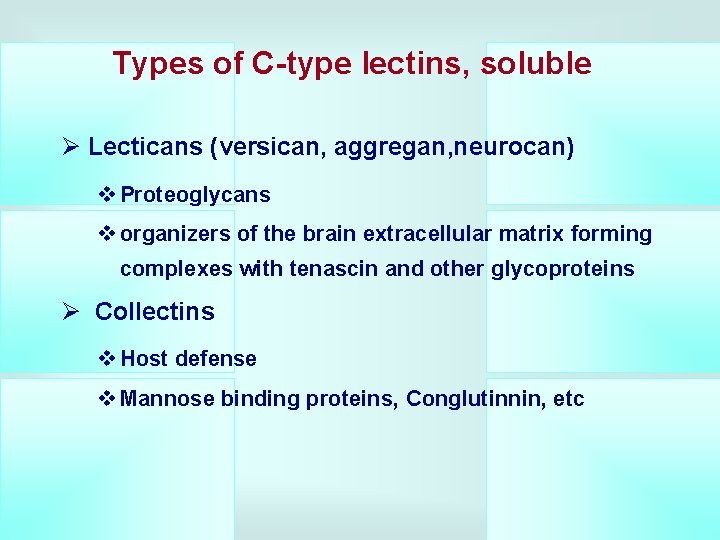 Types of C-type lectins, soluble Ø Lecticans (versican, aggregan, neurocan) v Proteoglycans v organizers