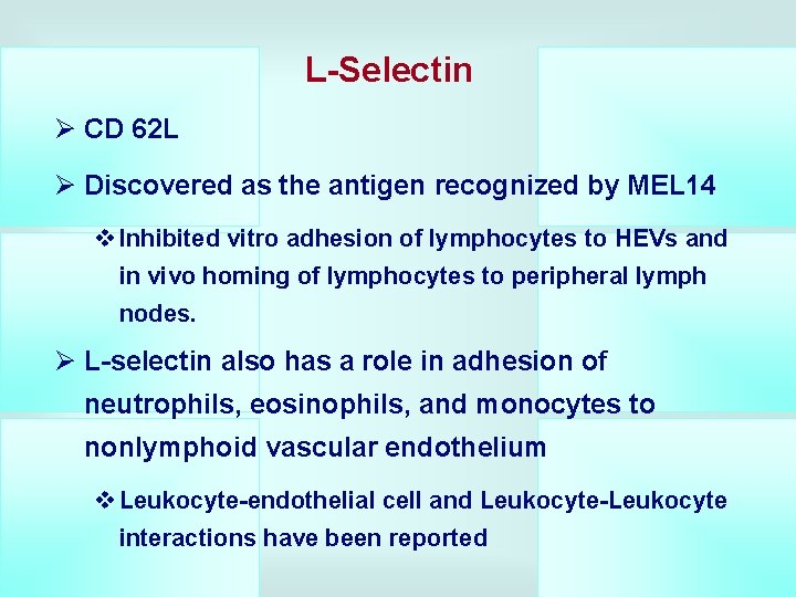 L-Selectin Ø CD 62 L Ø Discovered as the antigen recognized by MEL 14
