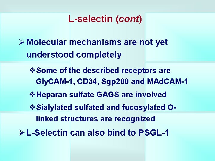 L-selectin (cont) Ø Molecular mechanisms are not yet understood completely v. Some of the