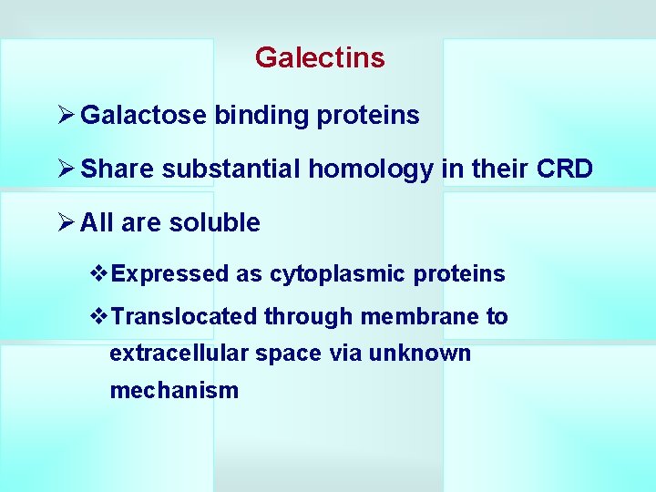 Galectins Ø Galactose binding proteins Ø Share substantial homology in their CRD Ø All