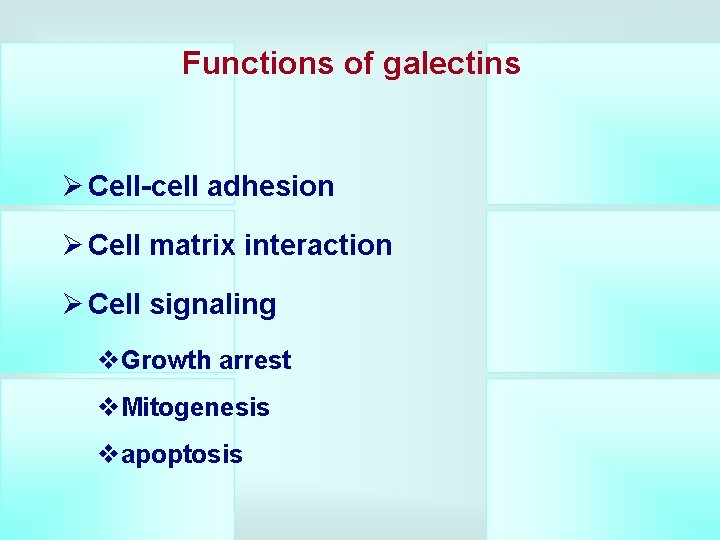 Functions of galectins Ø Cell-cell adhesion Ø Cell matrix interaction Ø Cell signaling v.