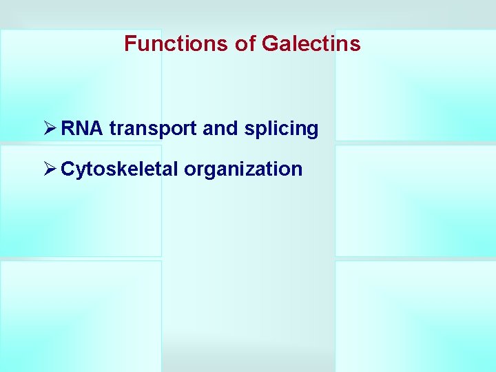 Functions of Galectins Ø RNA transport and splicing Ø Cytoskeletal organization 