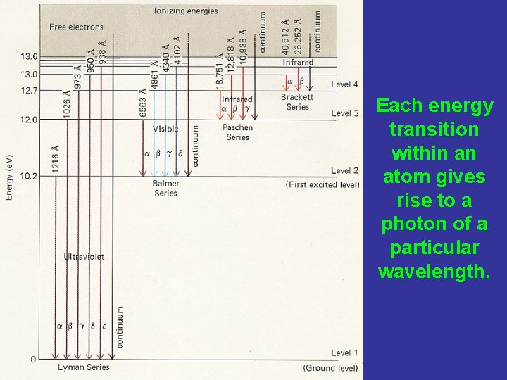 Each energy transition within an atom gives rise to a photon of a particular