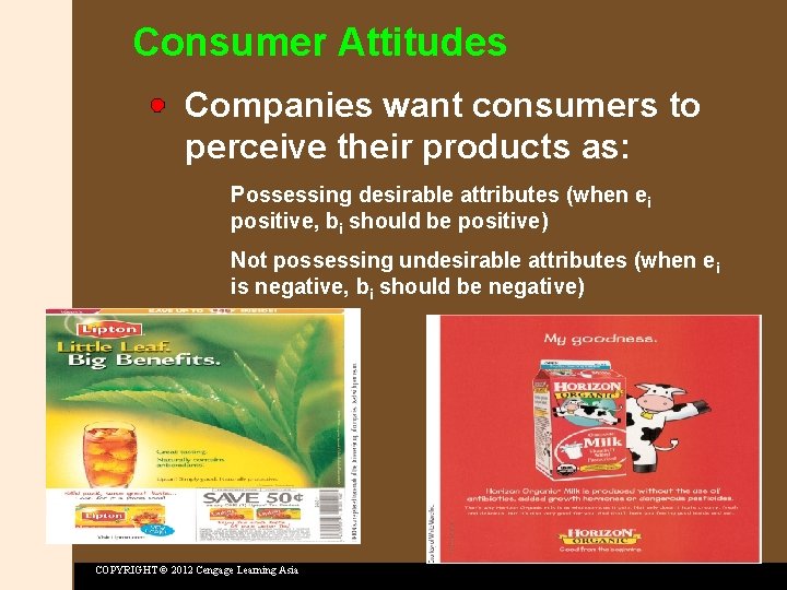 Consumer Attitudes Companies want consumers to perceive their products as: Possessing desirable attributes (when