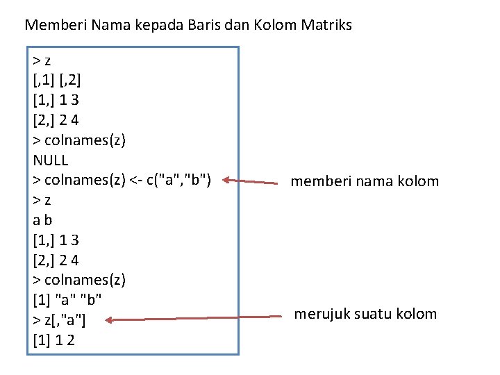 Memberi Nama kepada Baris dan Kolom Matriks >z [, 1] [, 2] [1, ]