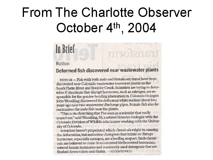 From The Charlotte Observer October 4 th, 2004 