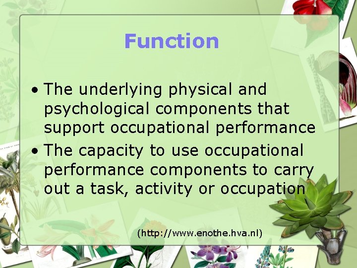 Function • The underlying physical and psychological components that support occupational performance • The
