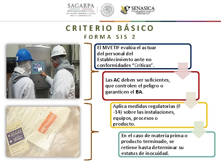 CRITERIO BÁSICO FORMA SIS 2 El MVETIF evalúa el actuar del personal del Establecimiento