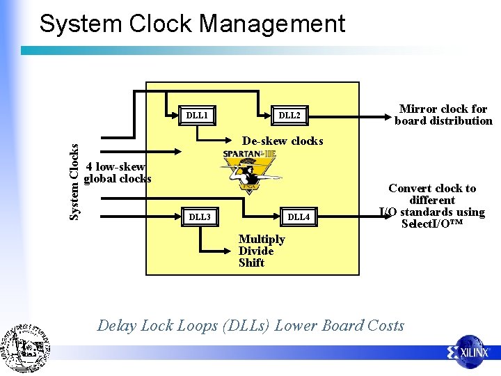 System Clock Management System Clocks DLL 1 DLL 2 Mirror clock for board distribution